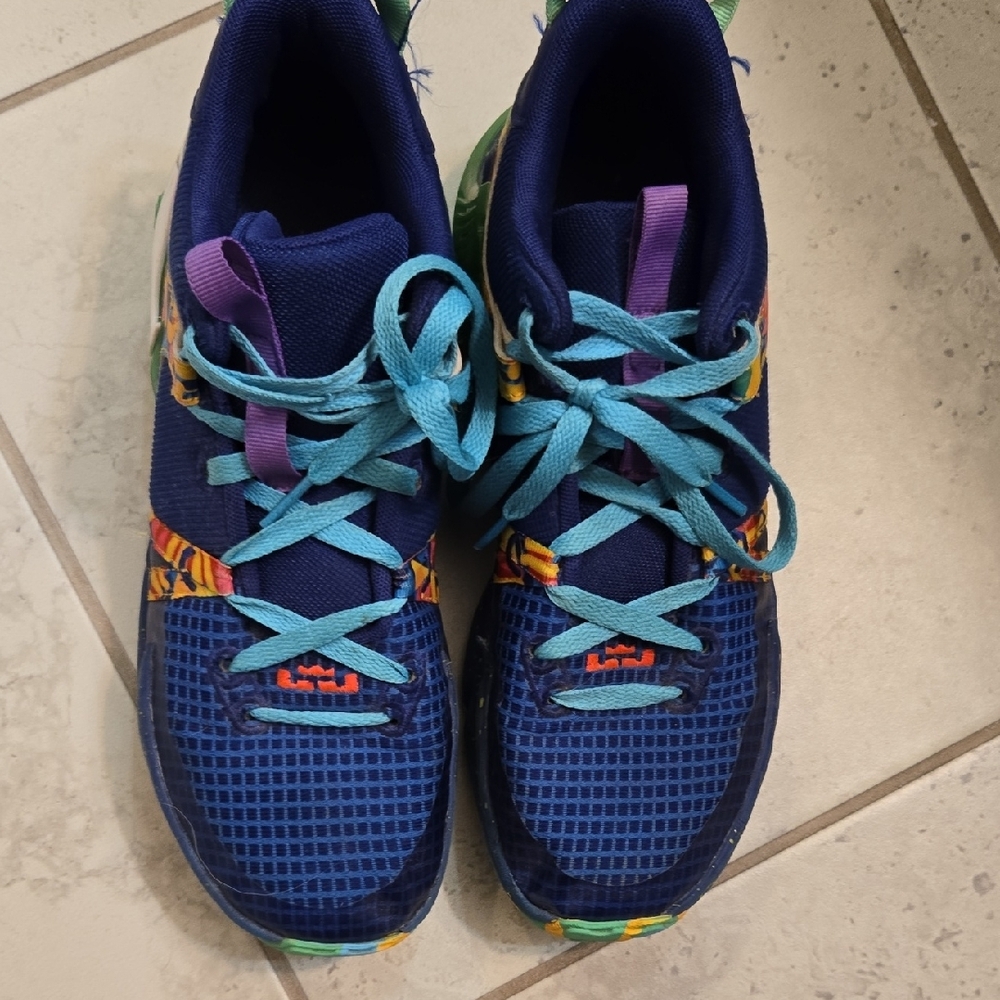 Lebron Nike Blue and Purple Sneakers with Breathable Mesh